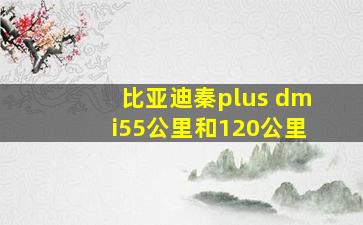 比亚迪秦plus dmi55公里和120公里